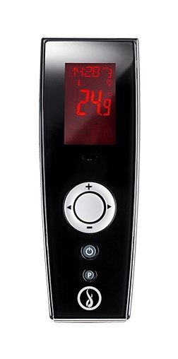 Каминная топка газовая Schmid Ekko G L 67 51 пульт управления