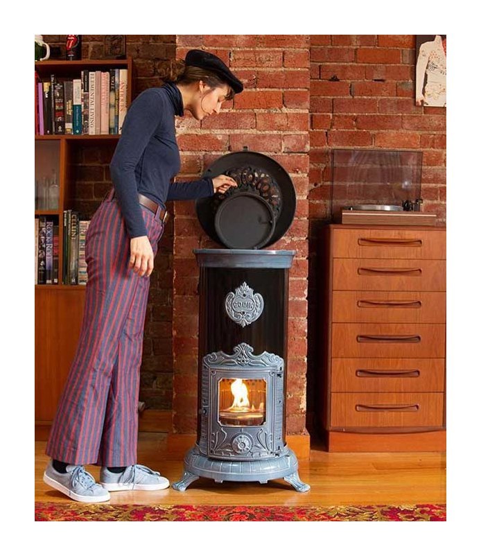 Чугунная печь камин Petit Godin 310105