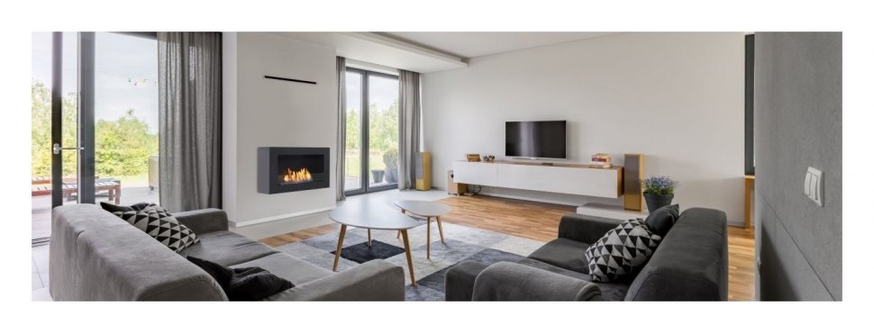 Биокамин Silver Smith IMAGE 800