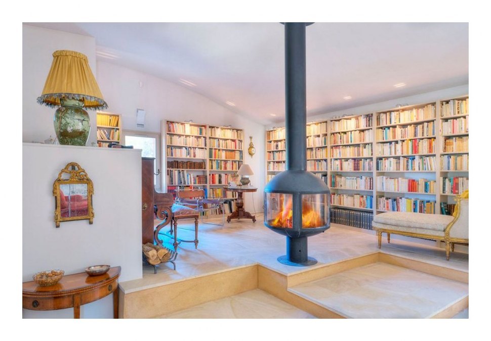 Камин дровяной Focus Agorafocus 850