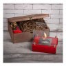 Подарочный набор SteelHeat PREMIUM BOX ALBA Красный + деревянная коробка + стартовый комплект