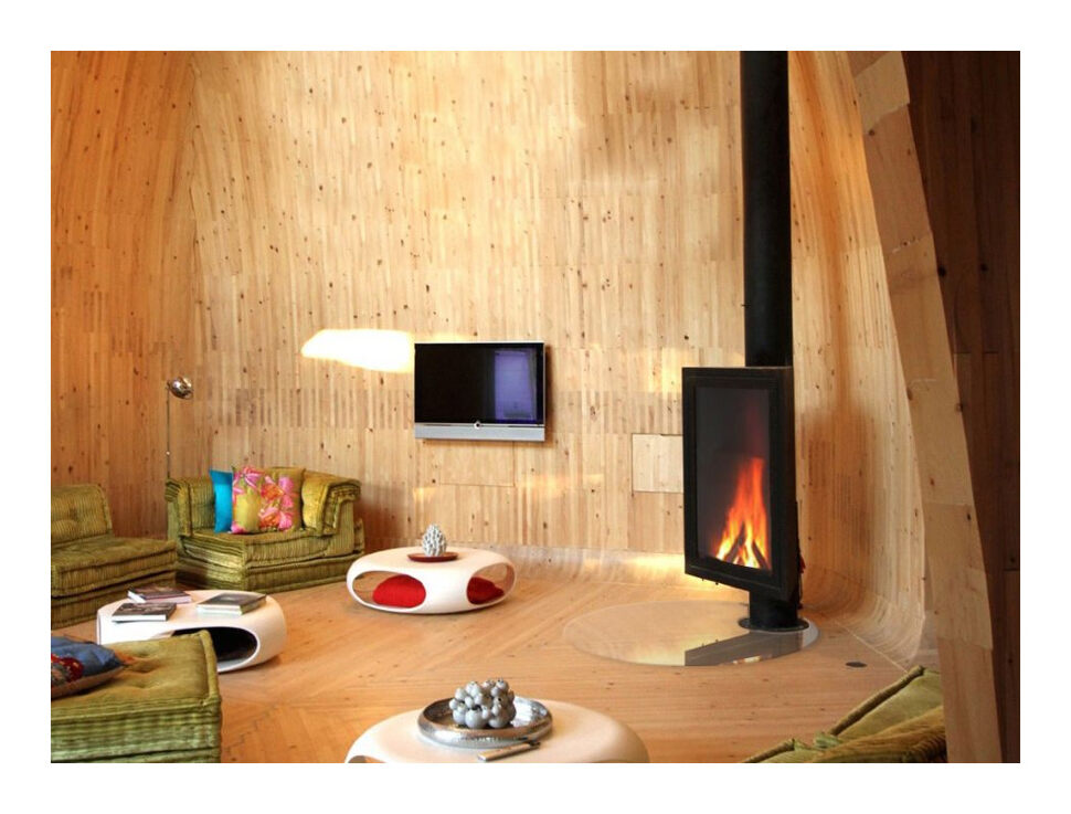 Камин дровяной Focus Eurofocus 951