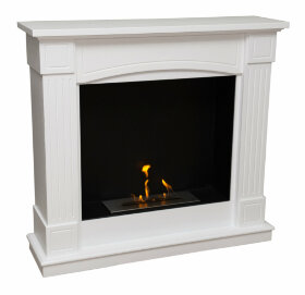 Биокамин Firebird Олимпия