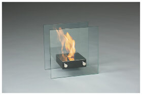 Биокамин Silver Smith ACE